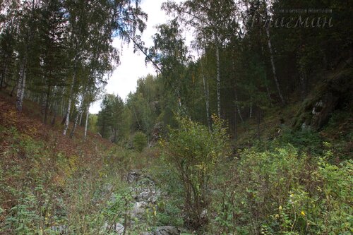 IMG_2686_r
